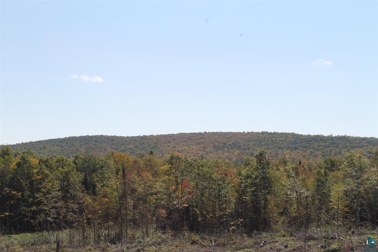 Property Photo: 000 Pinecrest Rd WI 54546