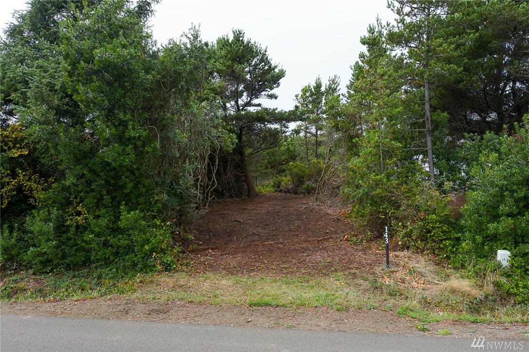 Property Photo:  143 Sand Dune Ave NW  WA 98569 