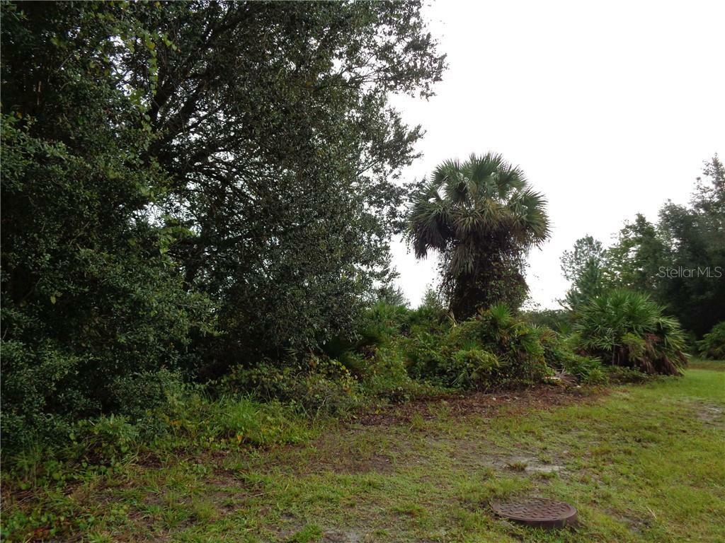 Property Photo:  0 Rosaro Court Lot 9  FL 34758 