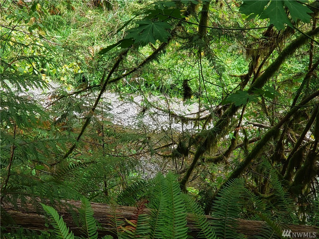 Property Photo:  Lot 23 W Blueberry Lane  WA 98541 