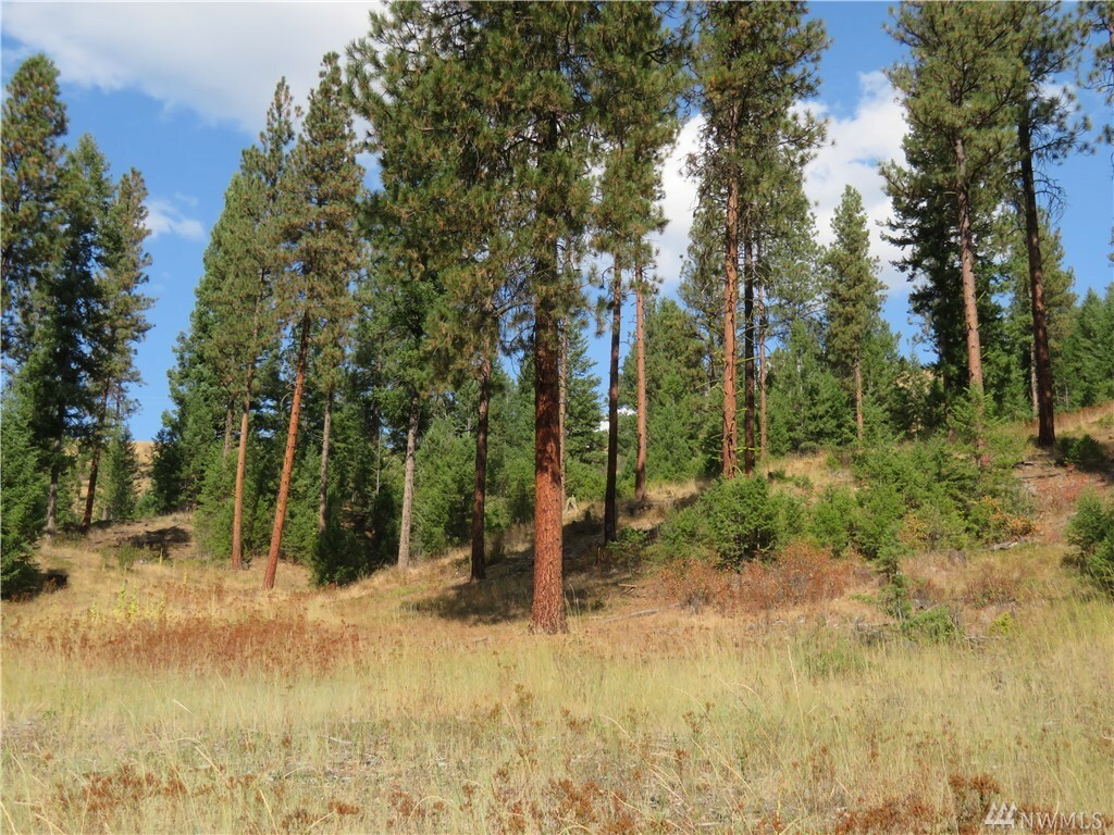 Property Photo:  Tbd Old Kettle Falls Rd  WA 99166 