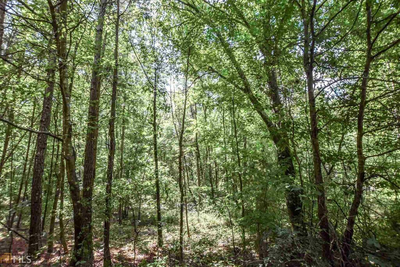 Property Photo:  0 Colquitt Road  GA 30125 