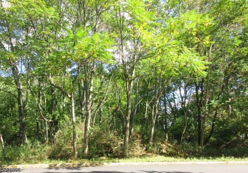 Property Photo:  168 West Parkway  NJ 07444 