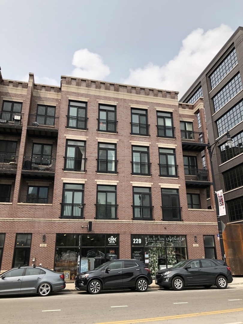 Property Photo:  218 North Halsted Street 3  IL 60661 