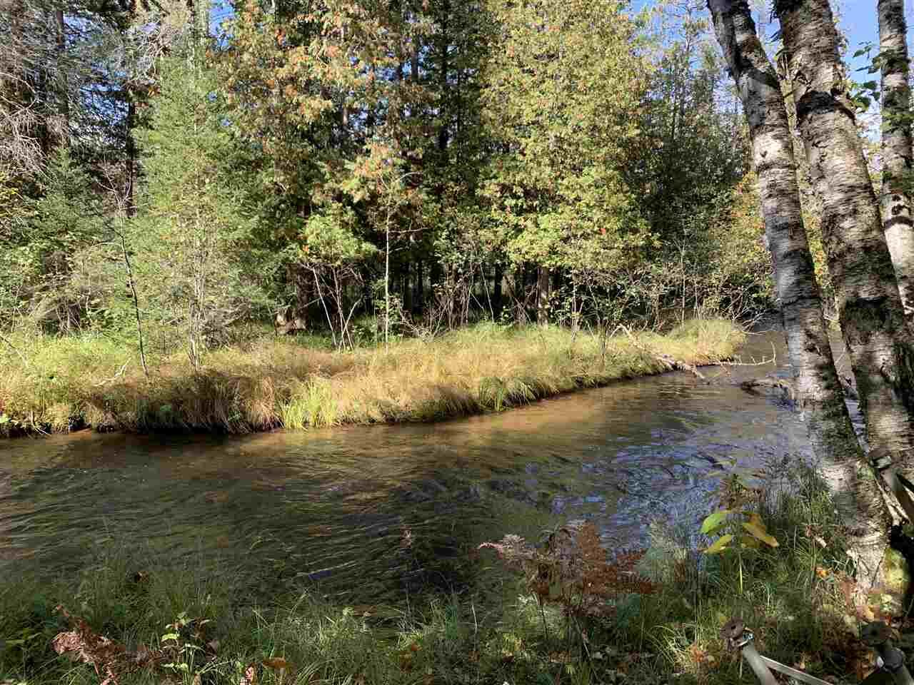 Property Photo:  3920 Hunt Creek  MI 49709 