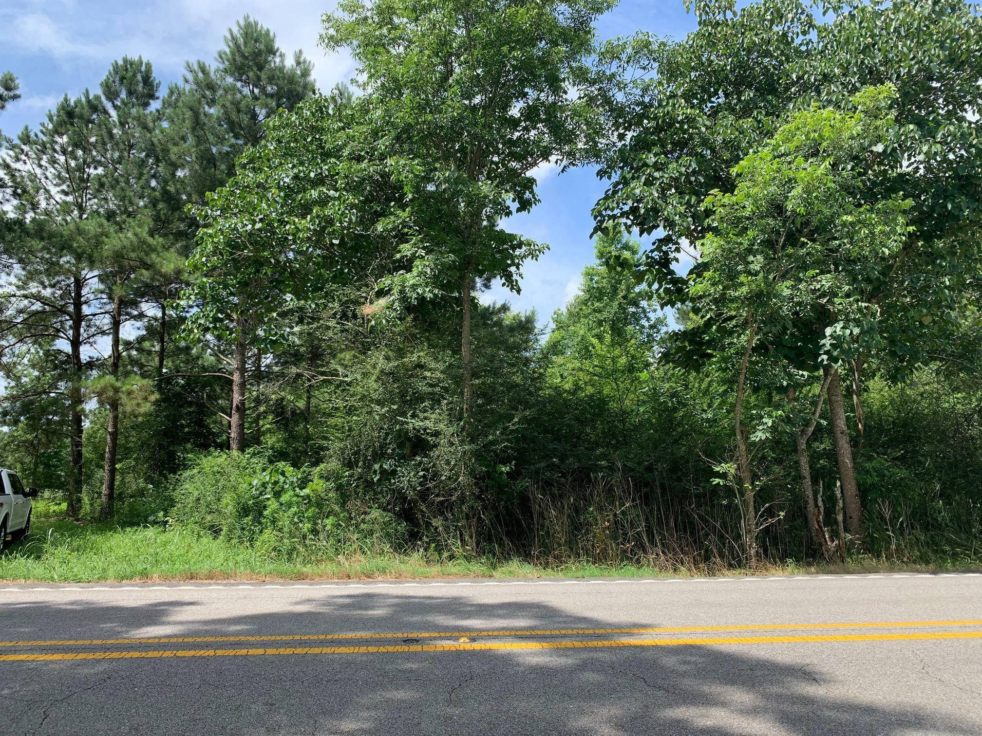 Property Photo:  00 Hwy 13  MS 39455 