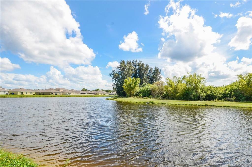 Property Photo:  358 Cascade Bend Drive  FL 33570 