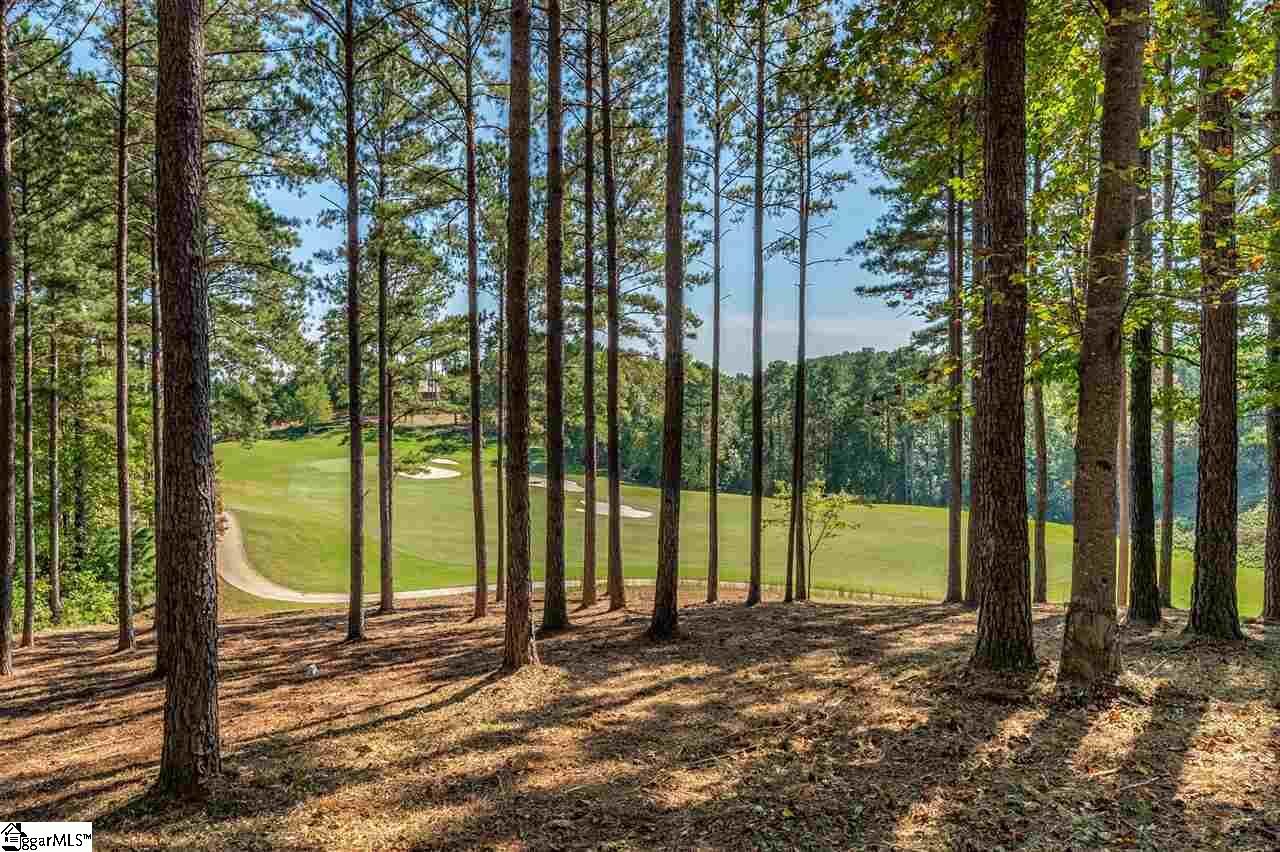 Property Photo:  113 Drewberry Lane  SC 29685 