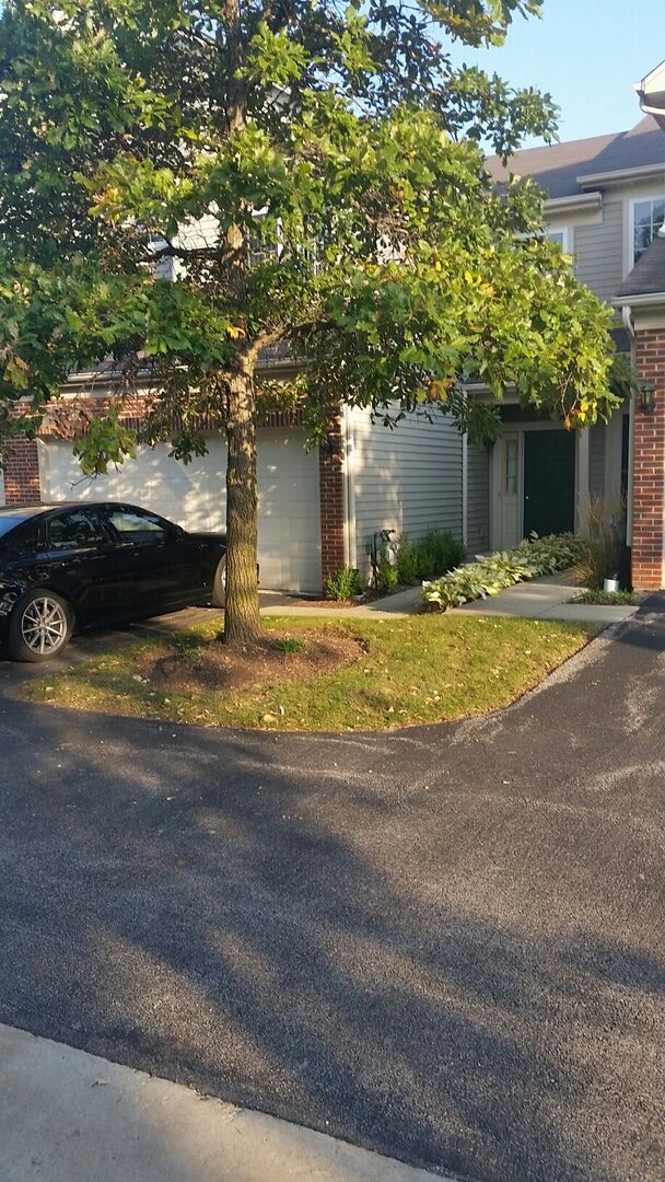 Property Photo: 239 Nicole Drive B IL 60177