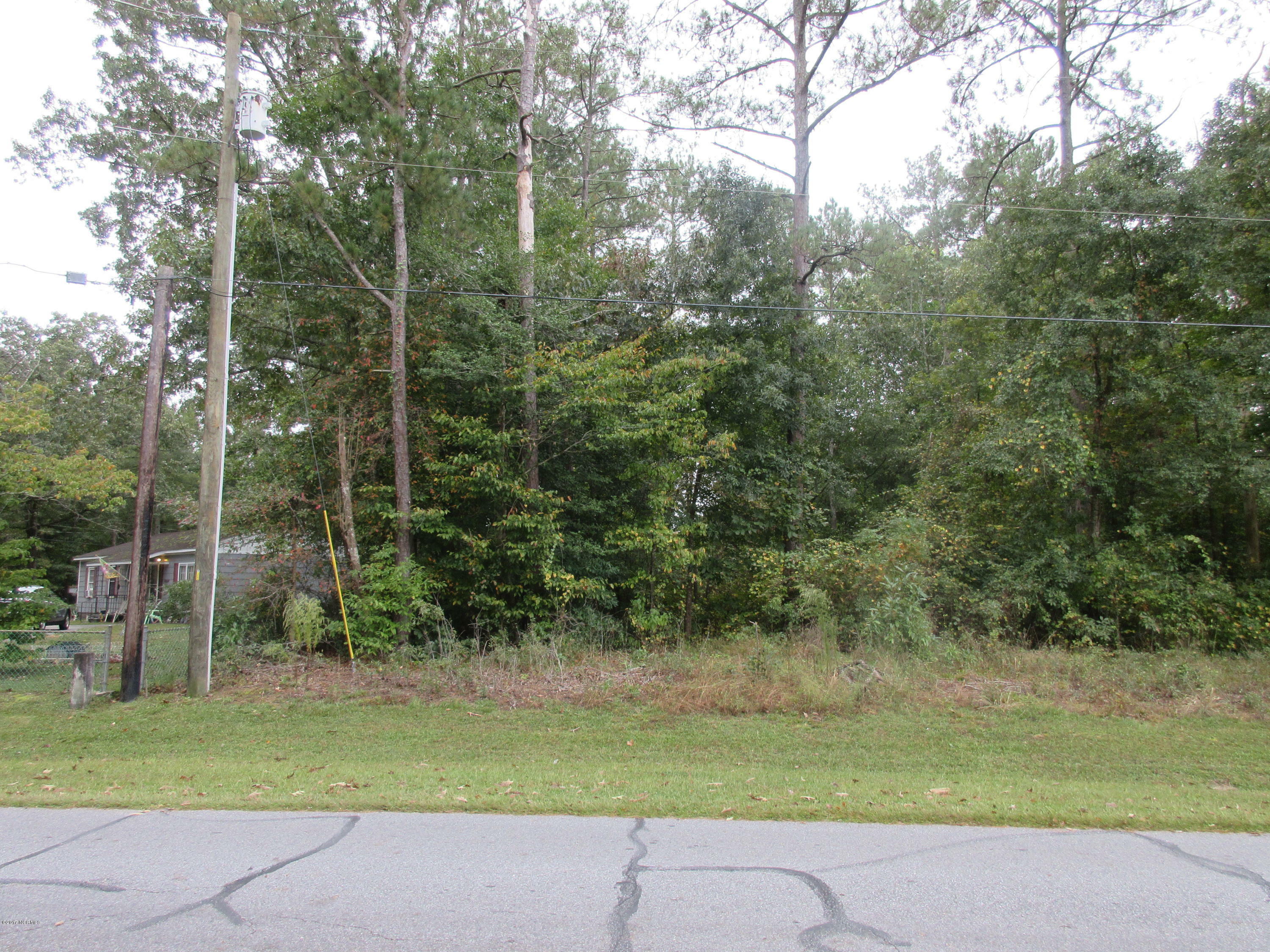 Property Photo: Lot 2 Sunnyside Drive NC 27889