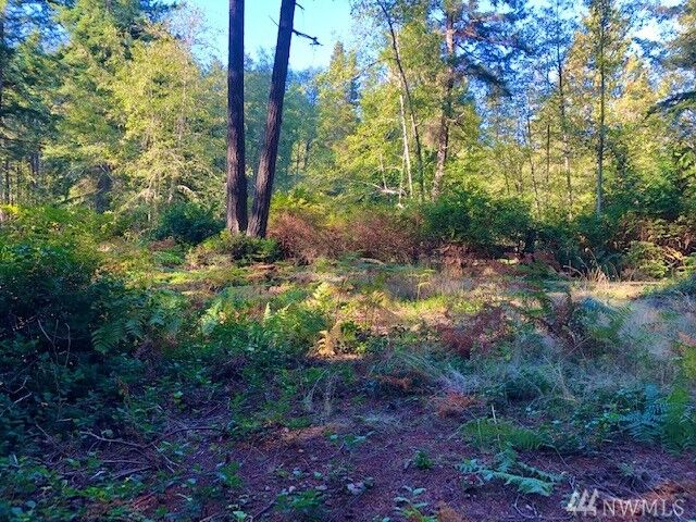 0 Reef Net Rd  Friday Harbor WA 98250 photo