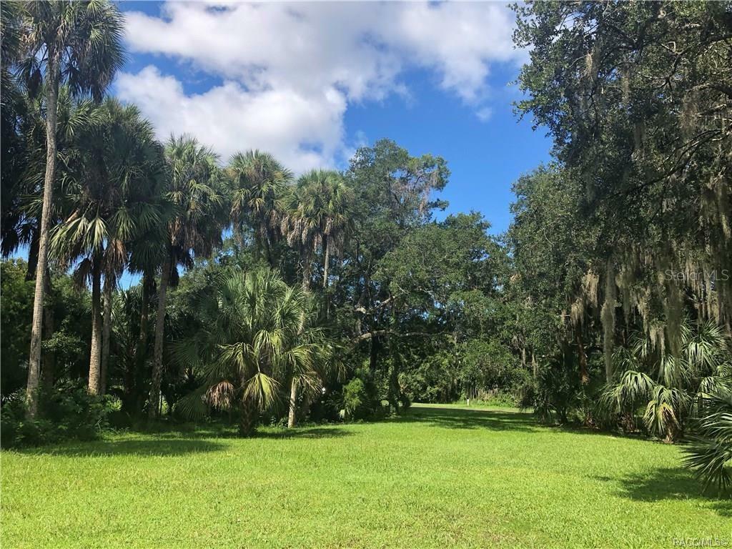 Property Photo:  11835 W Timberlane Drive  FL 34448 