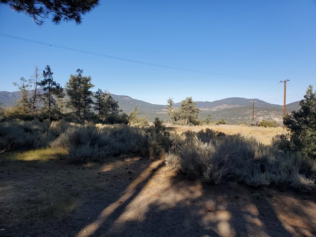 Property Photo:  7 Frazier Mountain Road  CA 93222 