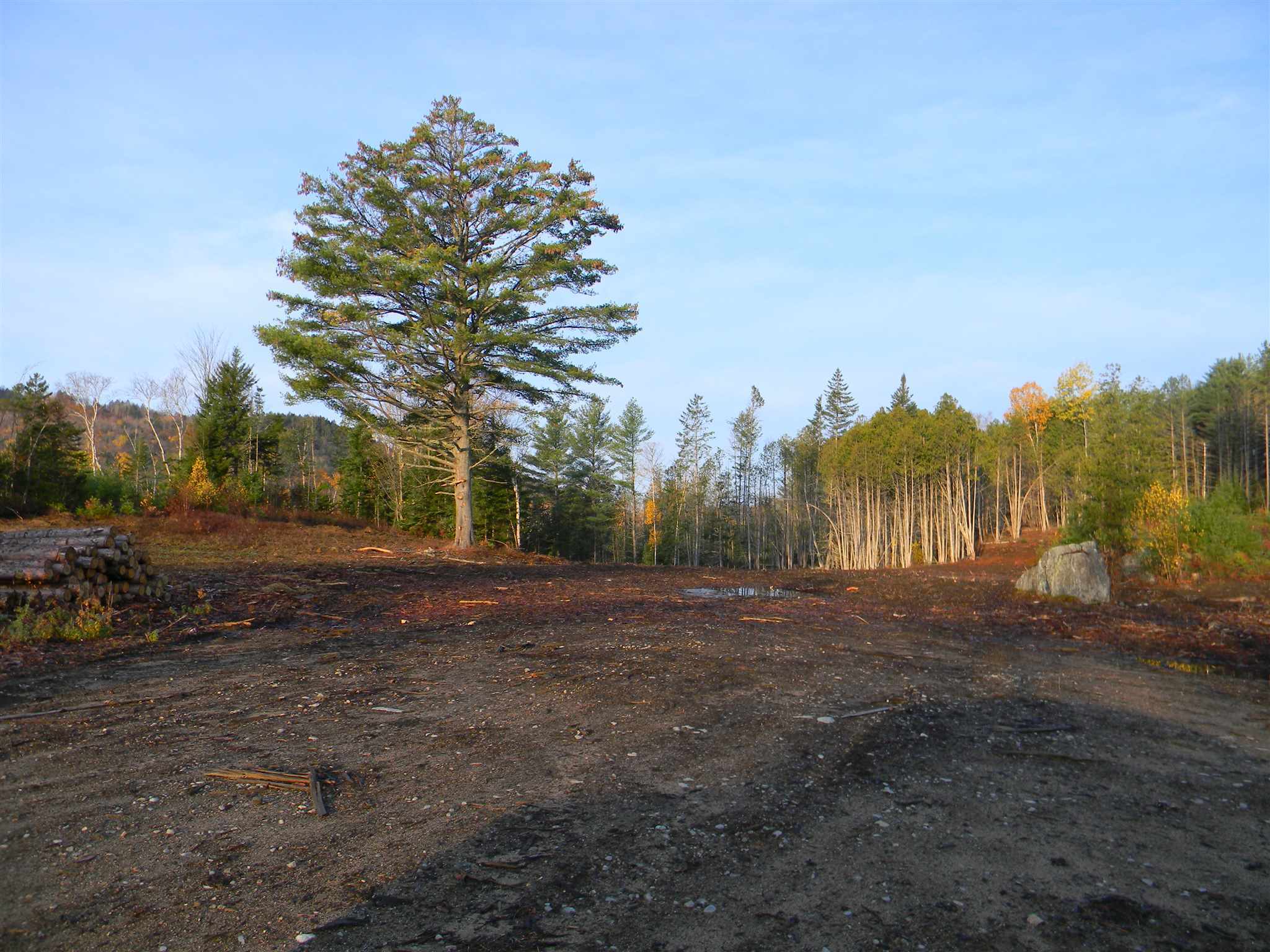 Property Photo: L34i Off Woodbury Cole Road NH 03582