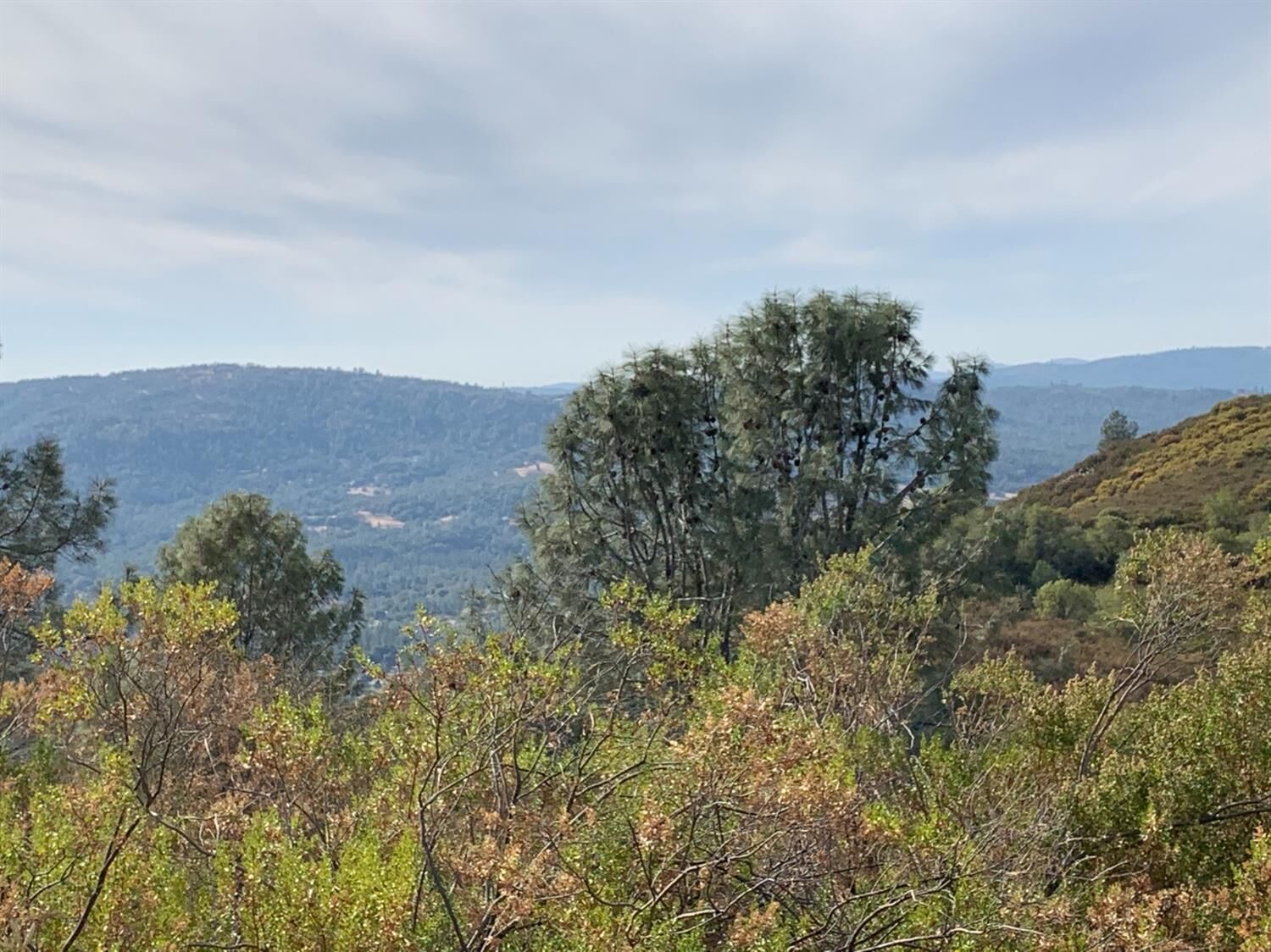 Property Photo:  5221 Terra View Loop  CA 95633 