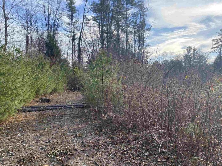 Property Photo:  0 Colby Road  NH 03276 