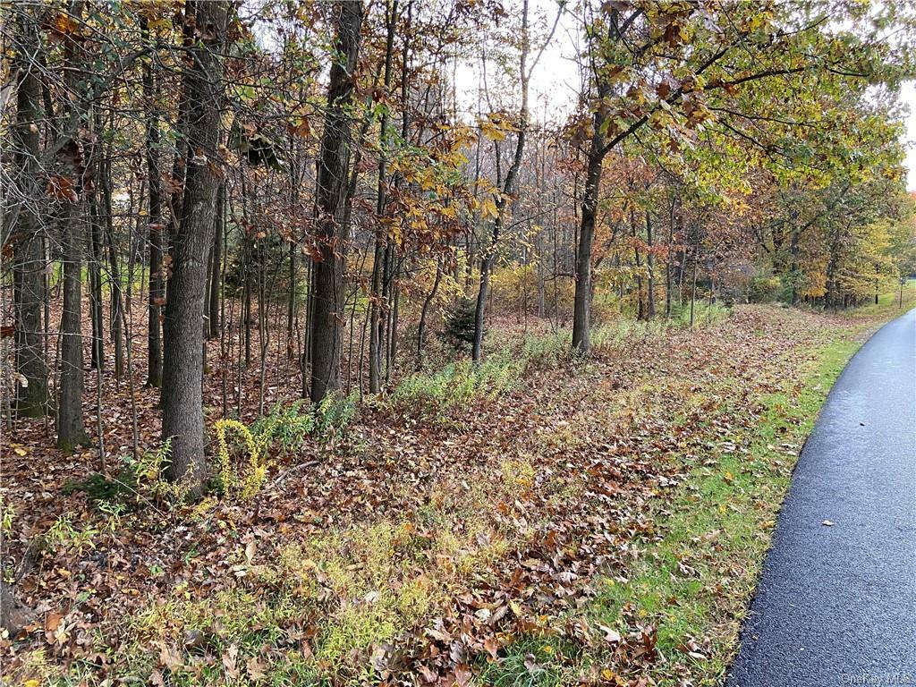 Property Photo:  Lot B Shoddy Hollow Road  NY 10963 