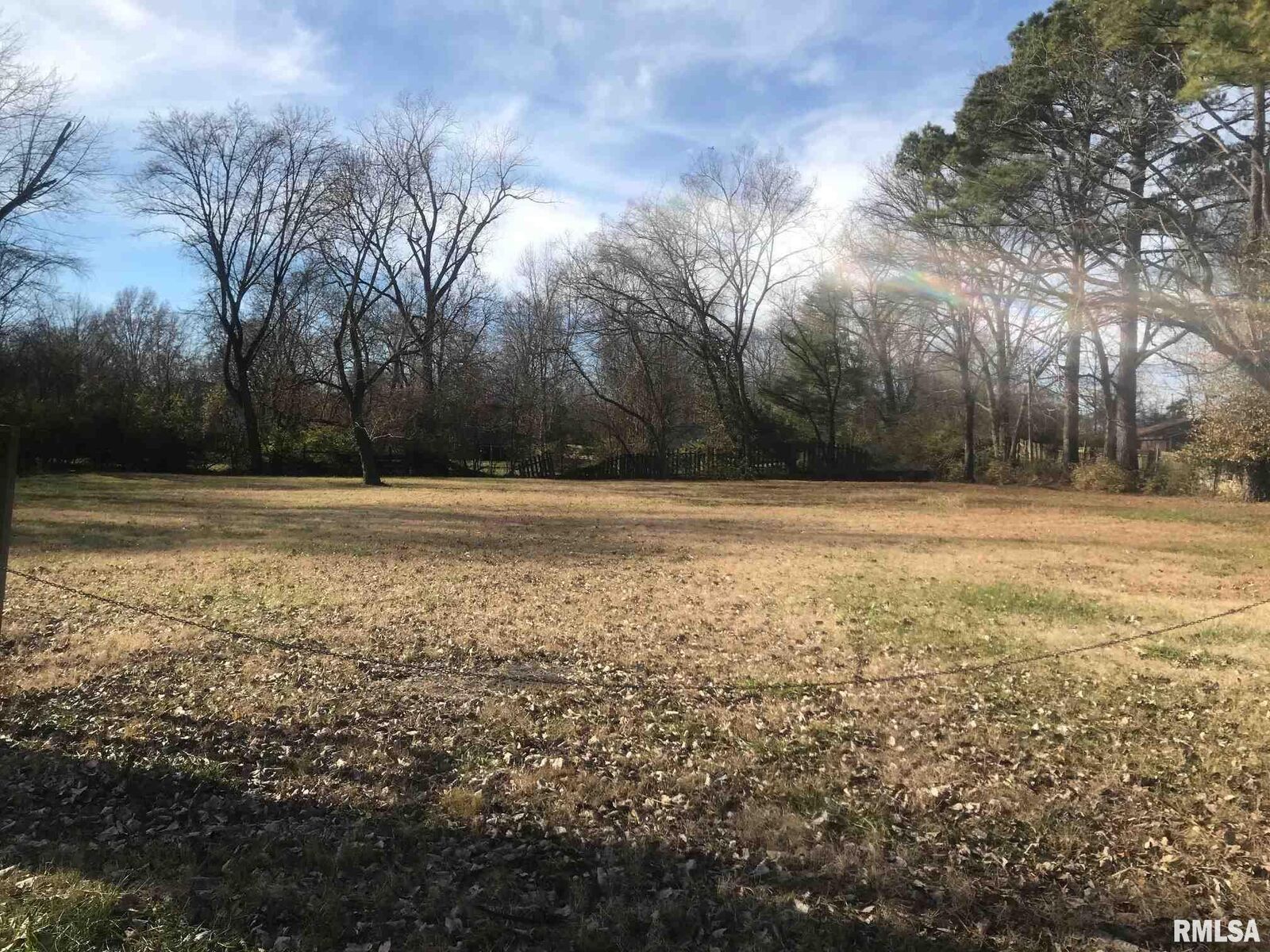 Property Photo: 230 Hanseman IL 62901