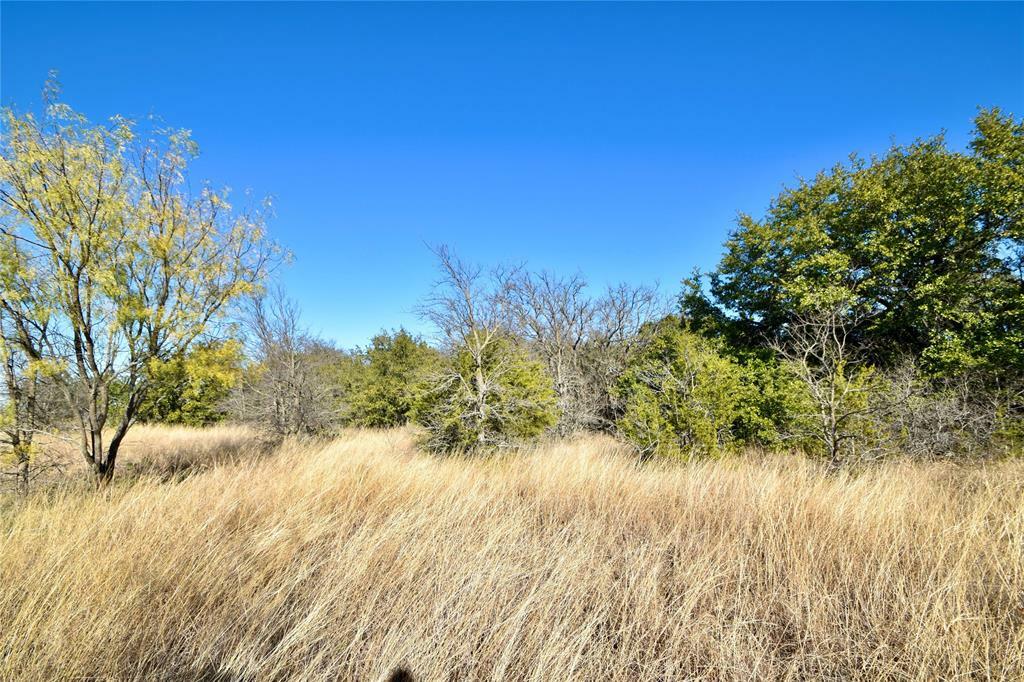 Photo de la propriété:  000 Beacon Lake Drive  TX 76433 