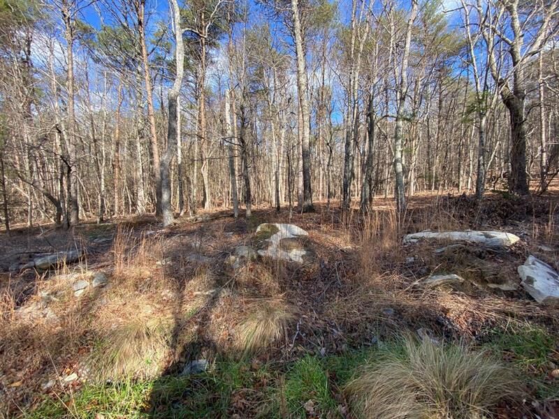 Property Photo:  0 Oak Trace West Trace W  GA 30143 