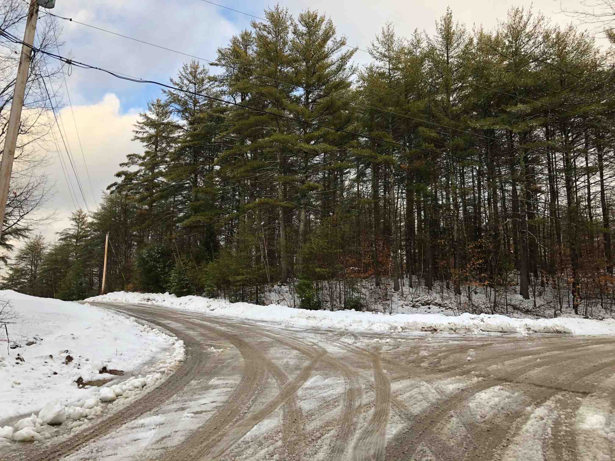Property Photo:  Lot 39 Deer Run Road Lot 39  NH 03887 