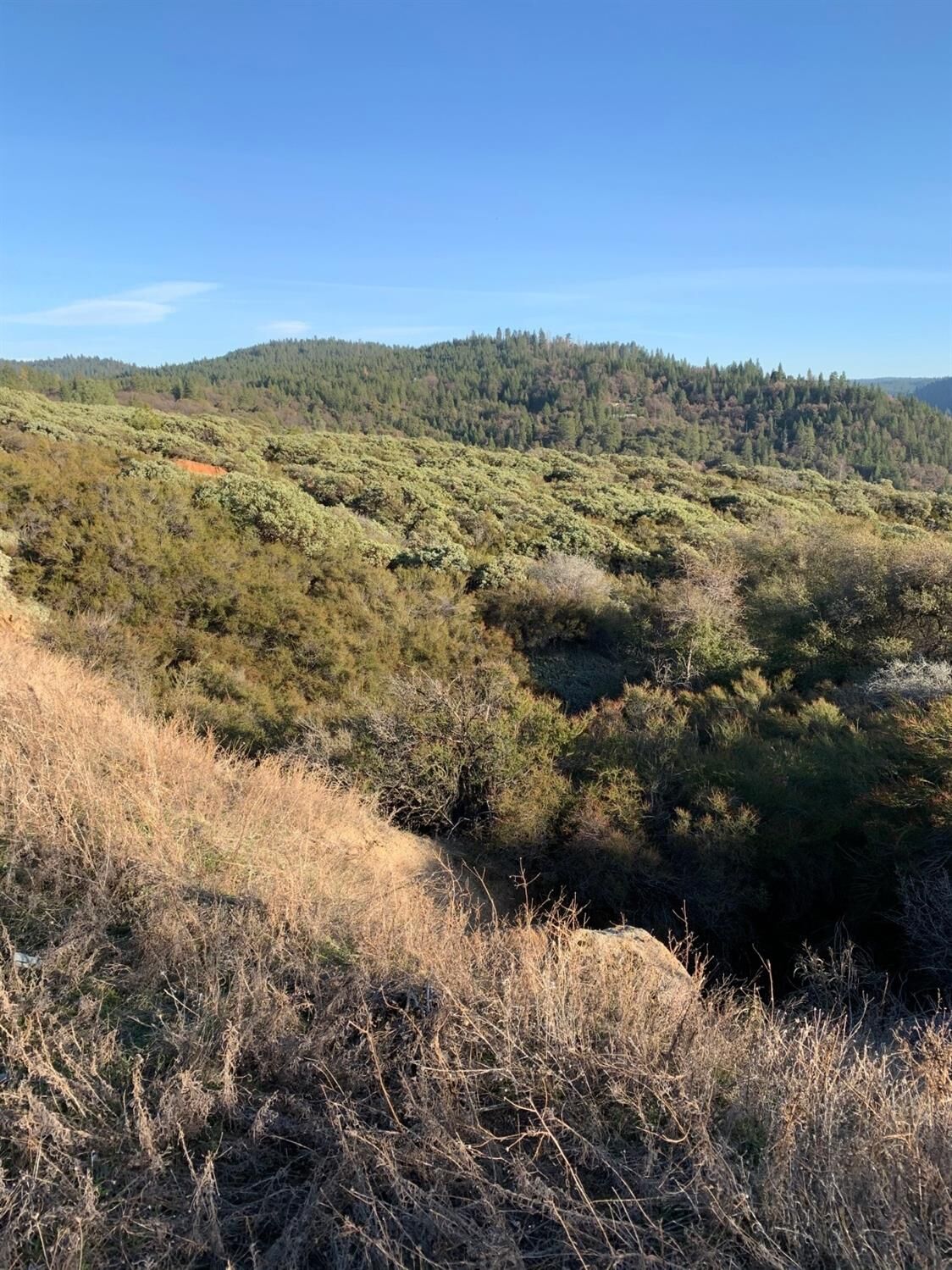 Property Photo: 0 7.5 Acs Grizzly Flat Road CA 95684