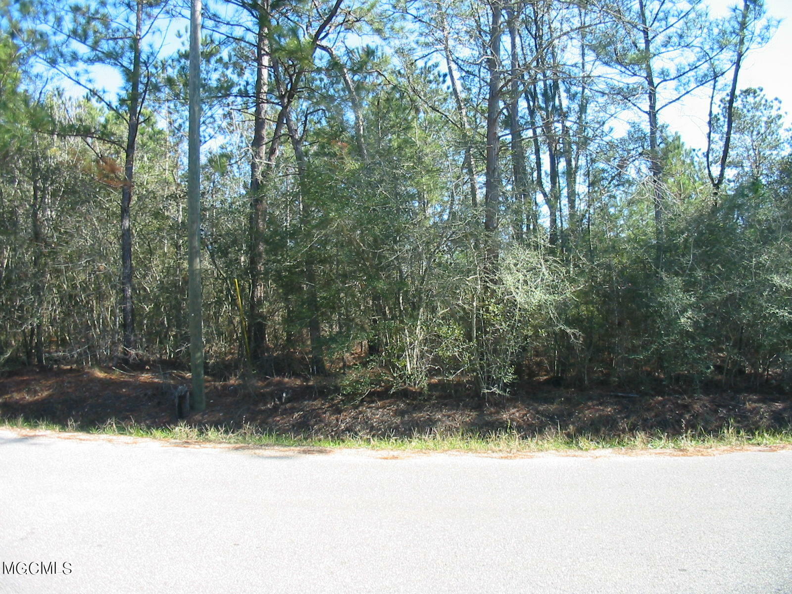 Property Photo:  Lots 14-17 Linden Lane  MS 39520 