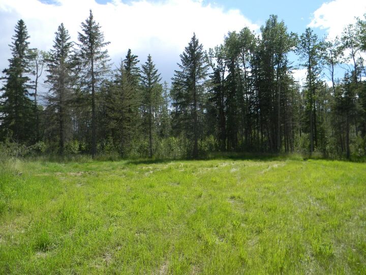 115 Meadow Ponds Drive — photo 1