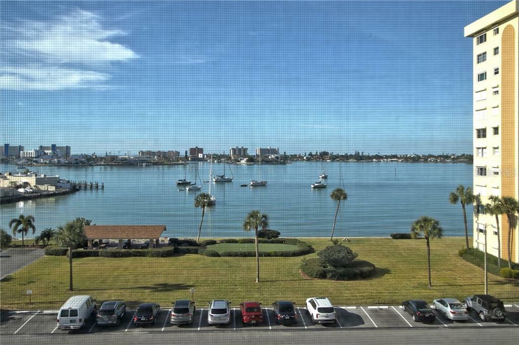 Property Photo: 4550 Cove Circle 602 FL 33708