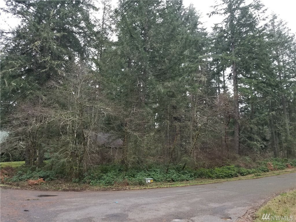 10308 Narrows Dr  Anderson Island WA 98303 photo