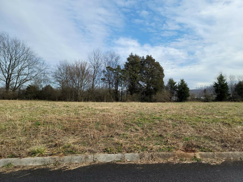 Property Photo: Lot 10 Meadow Lawn Drive TN 37329