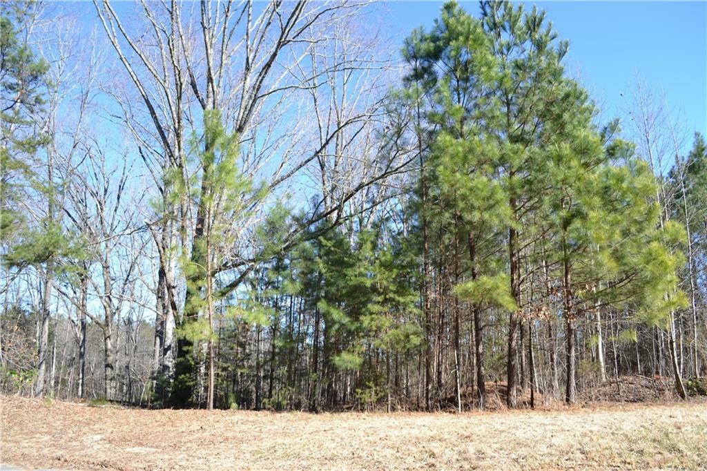 Property Photo: 000 Meadow Ridge Drive SC 29676