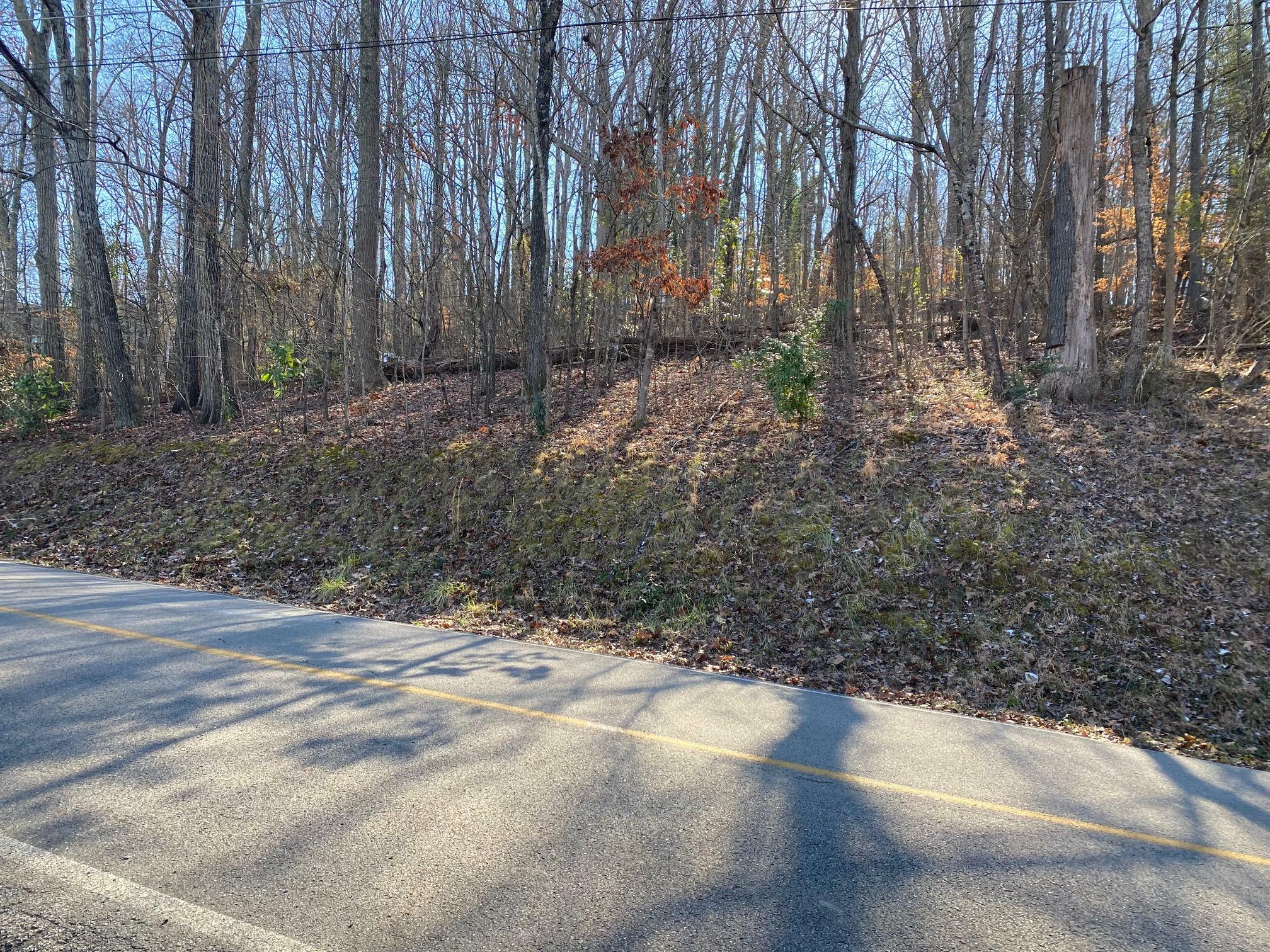 Property Photo:  Lakewood Rd, Lot 12  TN 37763 