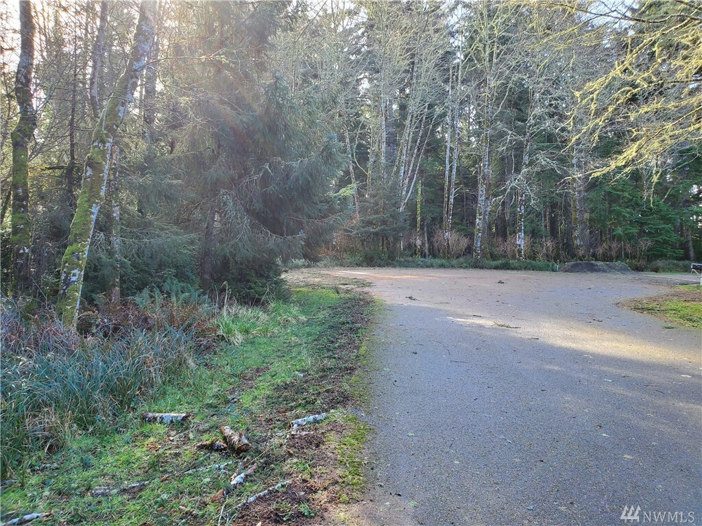 Property Photo:  281 Pearsall St SE  WA 98569 