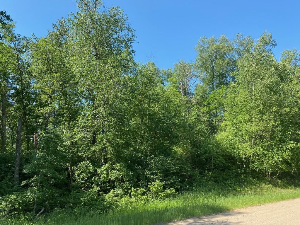 Property Photo:  Tbd Grant Hills Road SW  MN 56601 