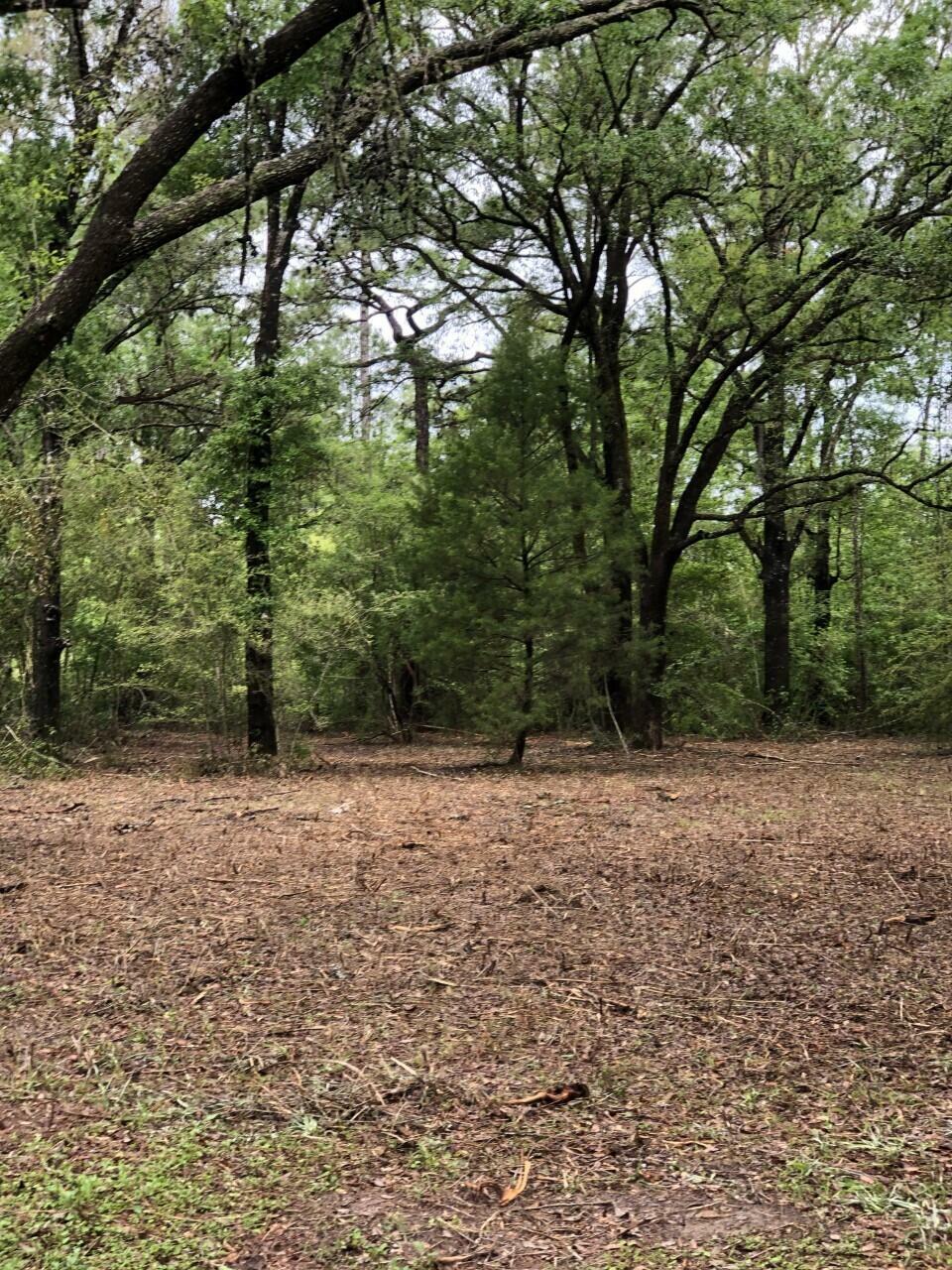 Property Photo:  27 Shaver Avenue Lot 19  FL 32455 