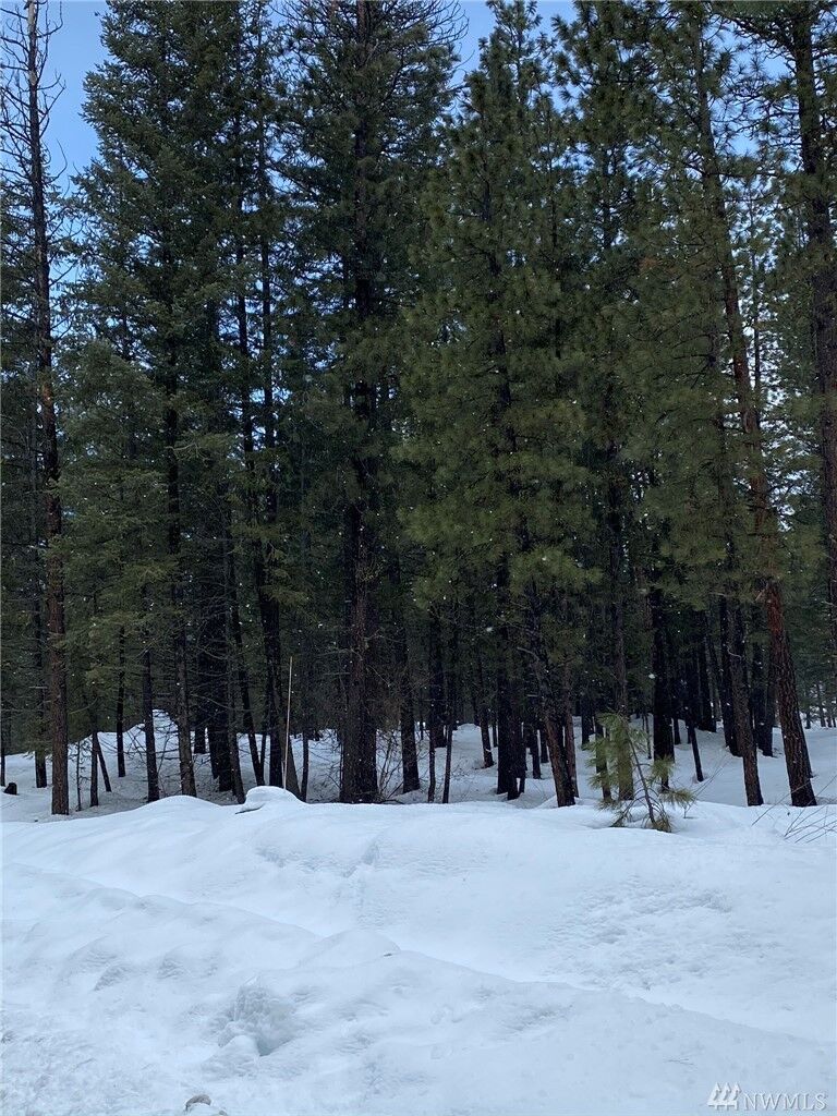 Property Photo:  Xx Rock Rose Rd  WA 98862 