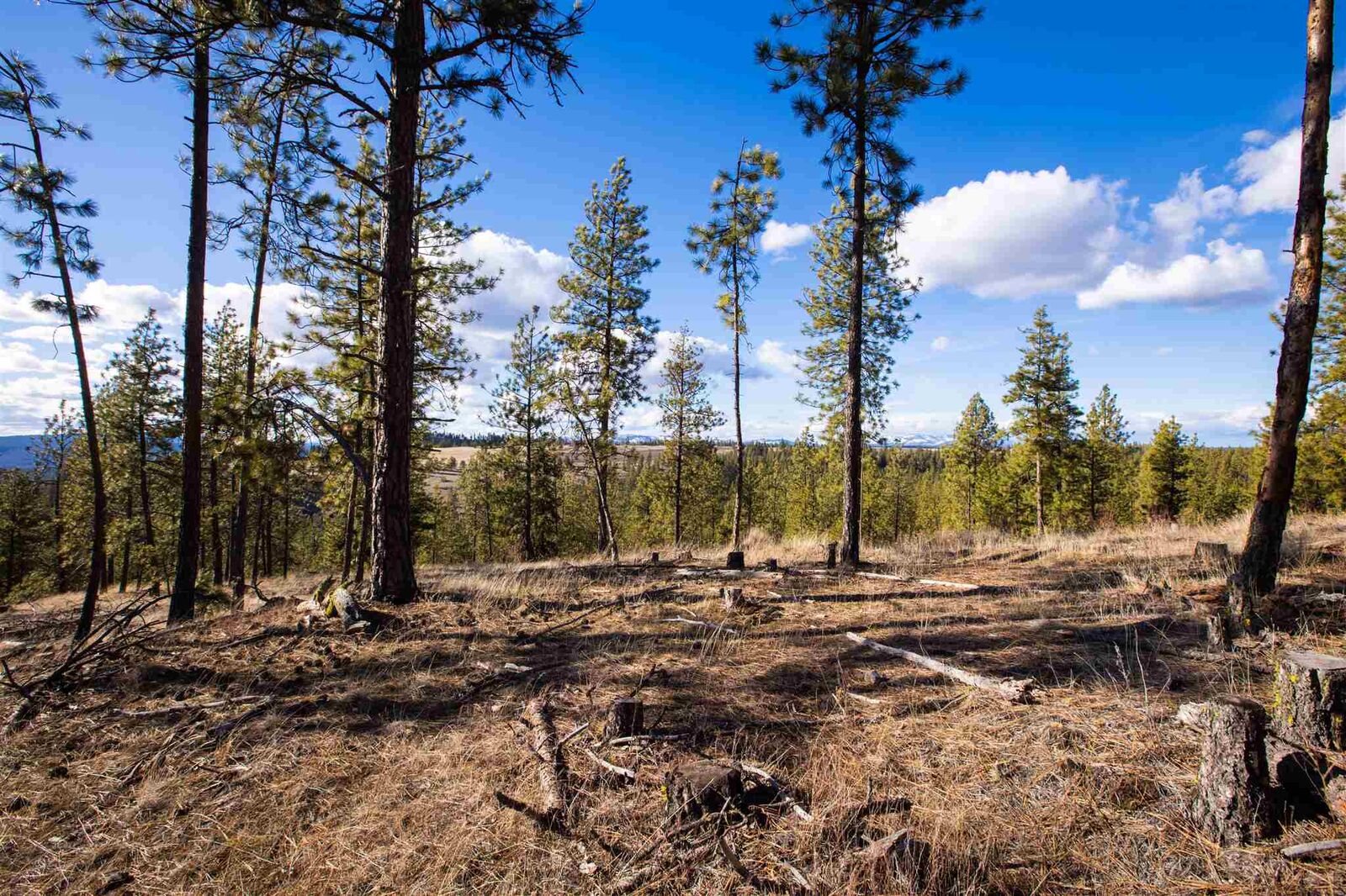 Property Photo: Xx Corkscrew Cyn WA 99034