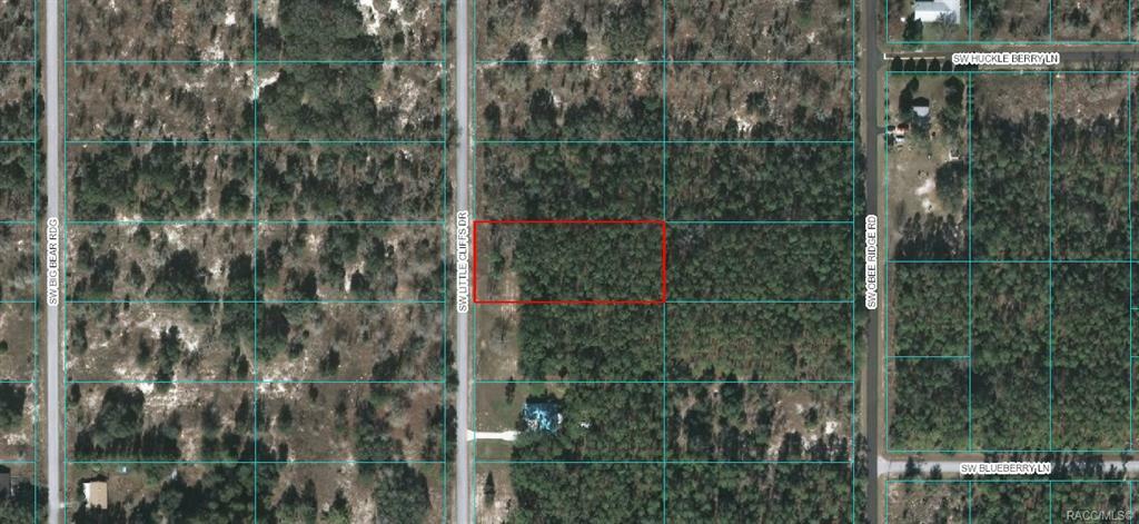 Property Photo:  000 SW Little Cliffs Drive  FL 34431 