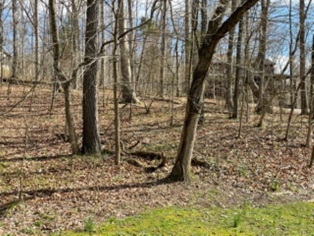 Property Photo: 191 Pine Drive IN 47579