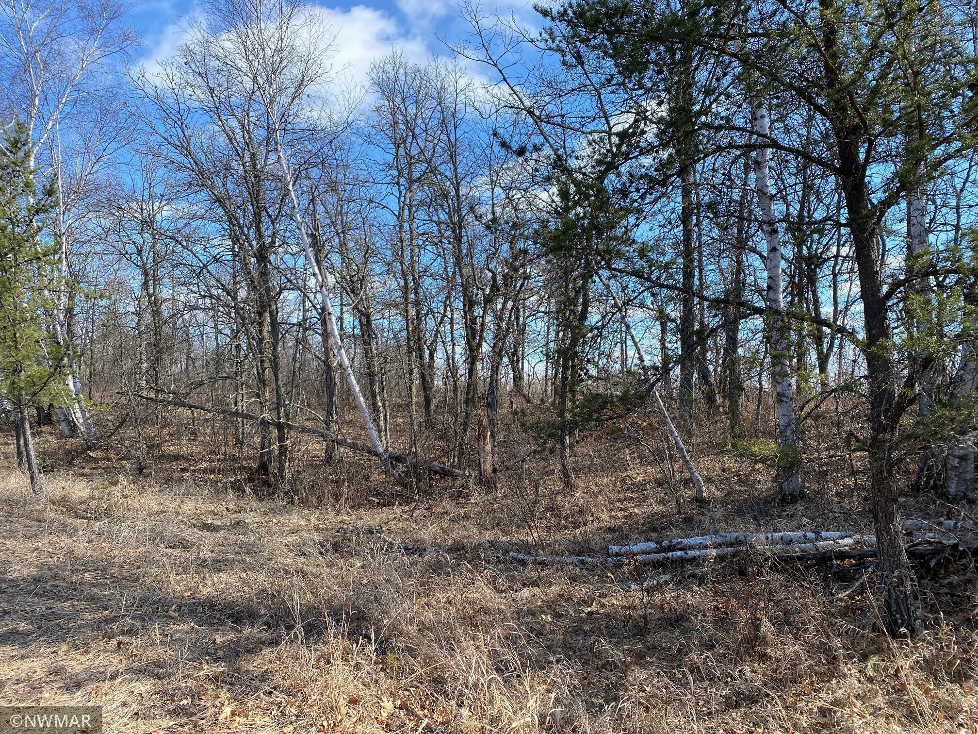 Property Photo:  Tbd (L8,B2) Goldfinch Lane SW  MN 56601 