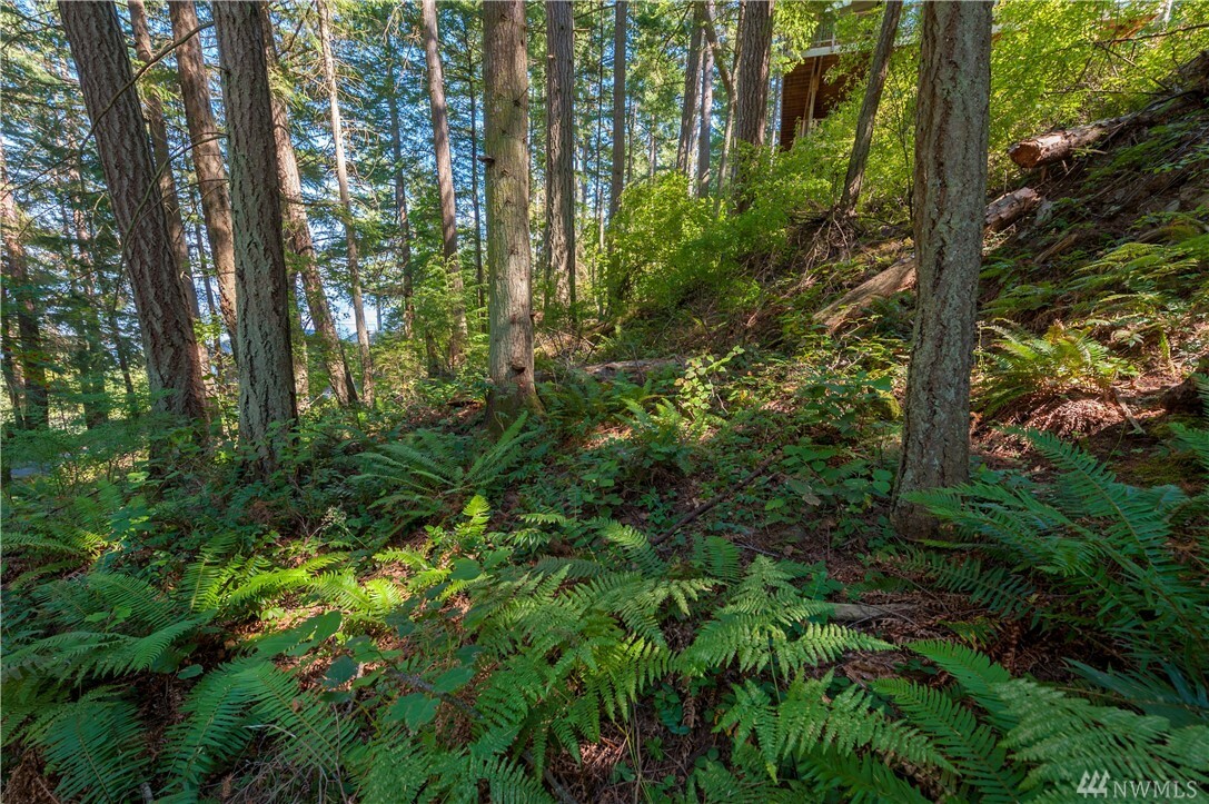 Property Photo:  1182 Scenic Ave  WA 98262 