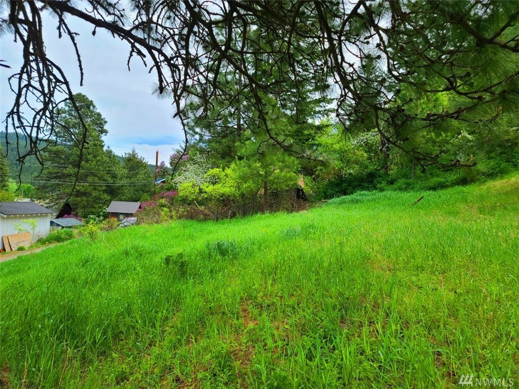 Property Photo:  6 5th Street Alley  WA 98941 