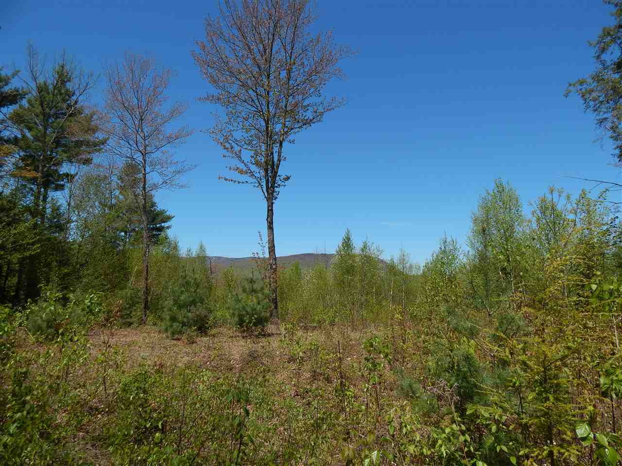 Property Photo:  Lot #10 North Ridge Road  NH 03221 