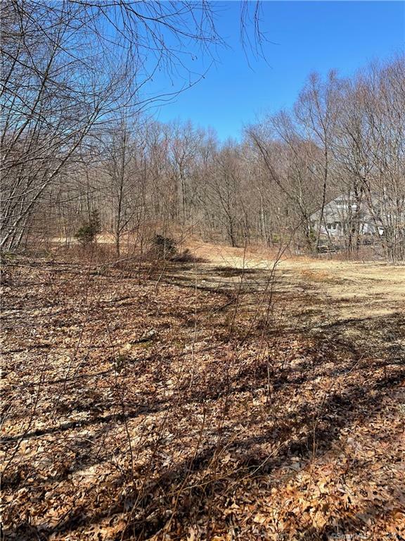 Property Photo:  77 Lovers Lane  CT 06333 