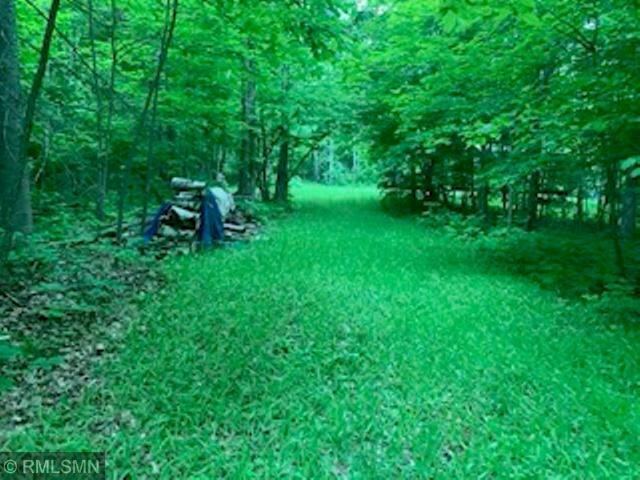 Property Photo: 39132 County 39 MN 56461
