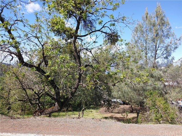 Property Photo:  9980 Point Lakeview Road  CA 95451 
