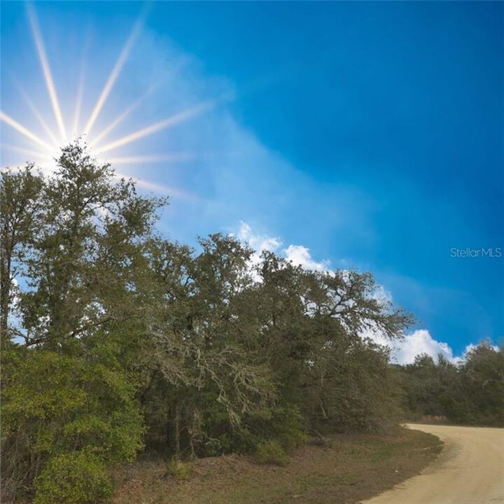 Property Photo:  Long Circle  FL 33597 