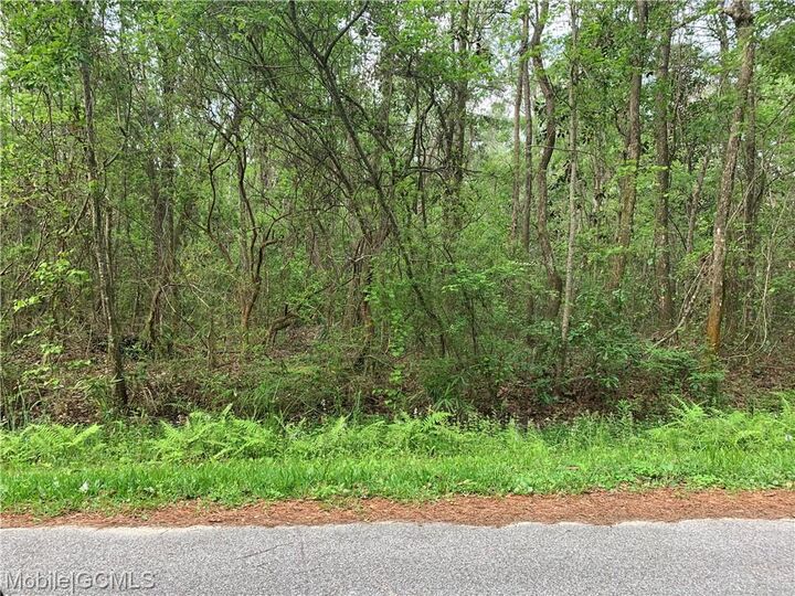 Property Photo:  Lawrence Steiner Road  AL 36582 