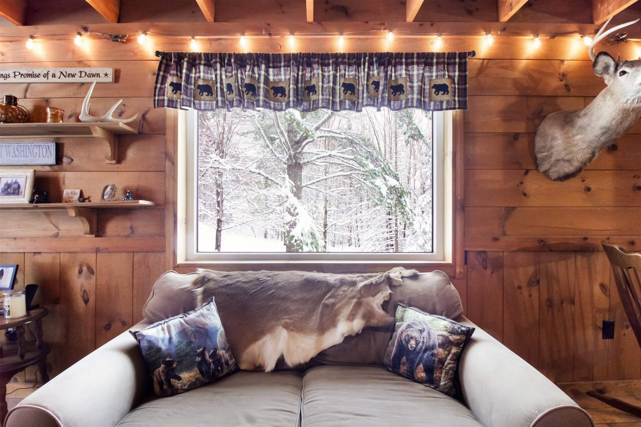 Property Photo: 529 Mt Cleveland Road NH 03574
